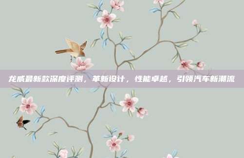 龙威最新款深度评测，革新设计，性能卓越，引领汽车新潮流
