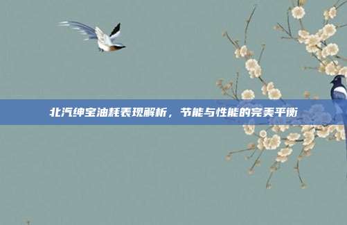 北汽绅宝油耗表现解析，节能与性能的完美平衡