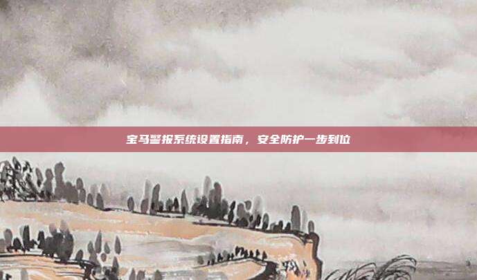 宝马警报系统设置指南，安全防护一步到位
