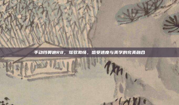 手动挡奥迪R8，驾驭激情，感受速度与美学的完美融合