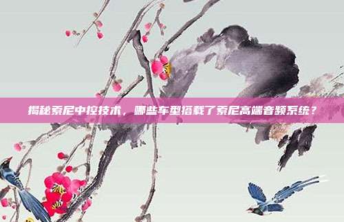 揭秘索尼中控技术，哪些车型搭载了索尼高端音频系统？
