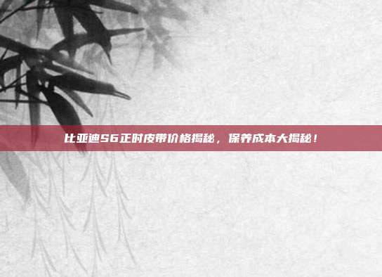 比亚迪S6正时皮带价格揭秘，保养成本大揭秘！