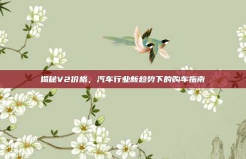 揭秘V2价格，汽车行业新趋势下的购车指南