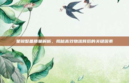 星锐整备质量解析，揭秘高效物流背后的关键因素