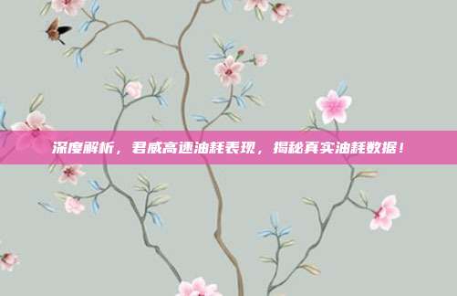深度解析，君威高速油耗表现，揭秘真实油耗数据！