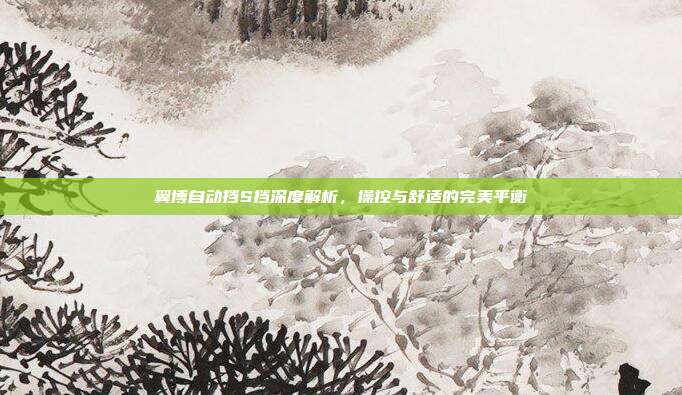 翼博自动挡S挡深度解析，操控与舒适的完美平衡
