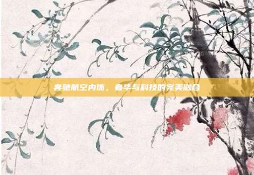 奔驰航空内饰，奢华与科技的完美融合