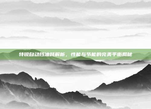 特锐自动挡油耗解析，性能与节能的完美平衡揭秘
