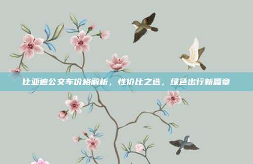 比亚迪公交车价格解析，性价比之选，绿色出行新篇章