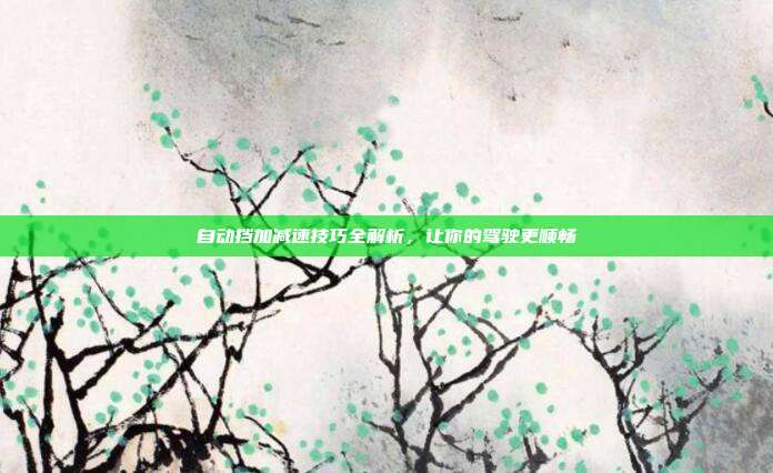 自动挡加减速技巧全解析，让你的驾驶更顺畅