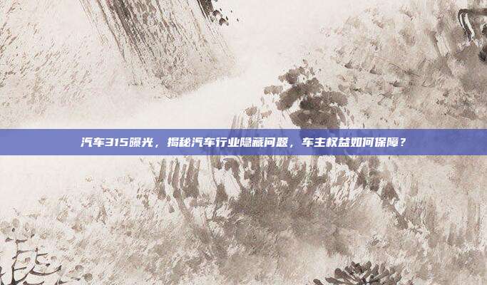汽车315曝光，揭秘汽车行业隐藏问题，车主权益如何保障？