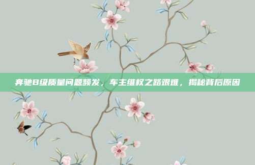 奔驰B级质量问题频发，车主维权之路艰难，揭秘背后原因