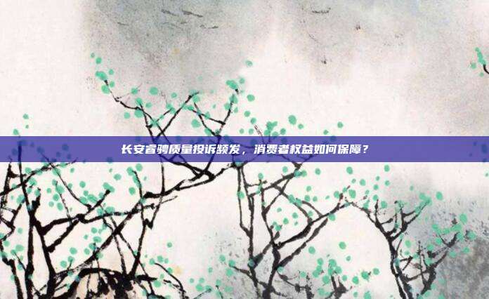 长安睿骋质量投诉频发，消费者权益如何保障？