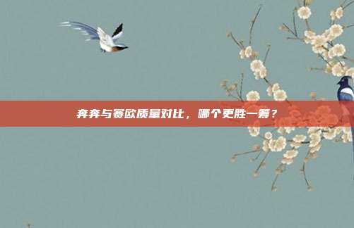 奔奔与赛欧质量对比，哪个更胜一筹？