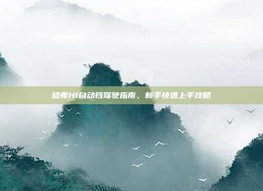 哈弗H1自动挡驾驶指南，新手快速上手攻略