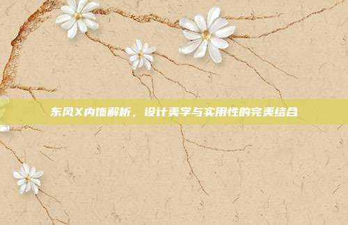 东风X内饰解析，设计美学与实用性的完美结合