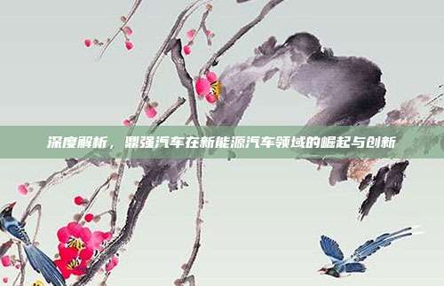深度解析，鼎强汽车在新能源汽车领域的崛起与创新