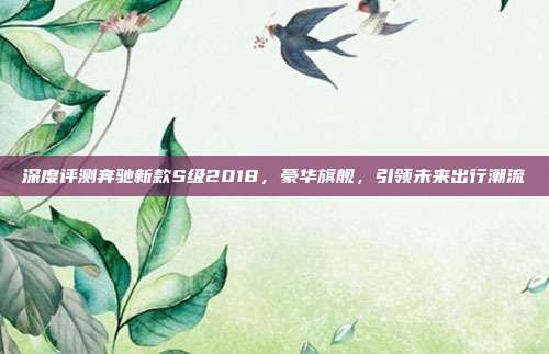 深度评测奔驰新款S级2018，豪华旗舰，引领未来出行潮流