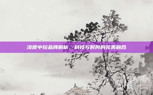 凌渡中控品牌解析，科技与时尚的完美融合