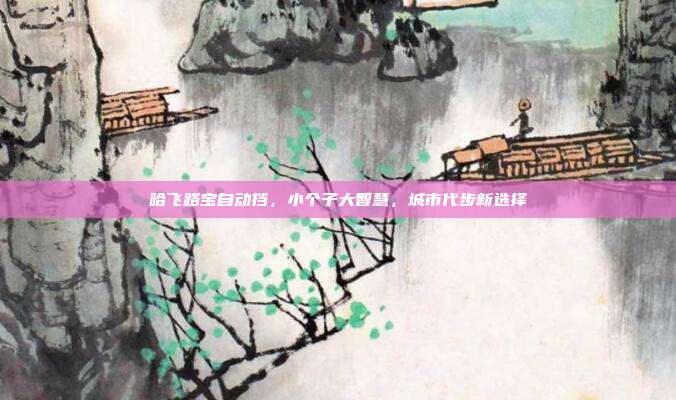 哈飞路宝自动挡，小个子大智慧，城市代步新选择