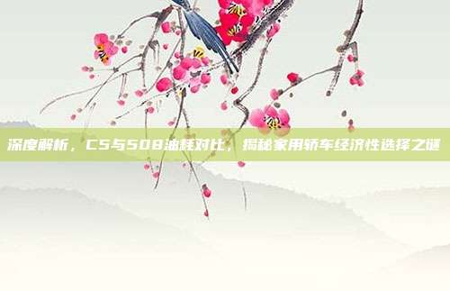 深度解析，C5与508油耗对比，揭秘家用轿车经济性选择之谜