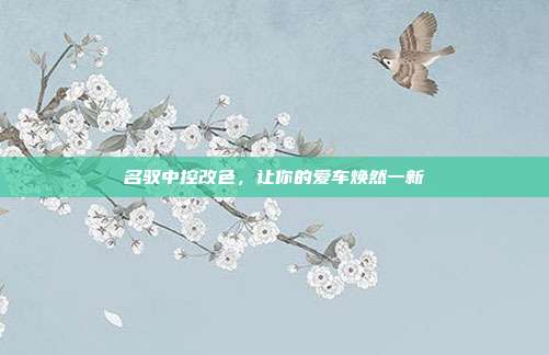 名驭中控改色，让你的爱车焕然一新