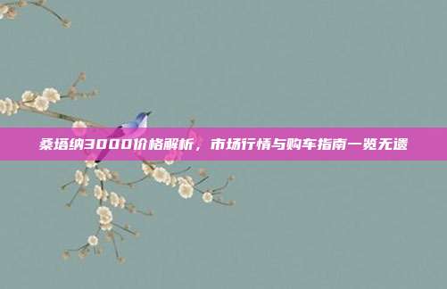 桑塔纳3000价格解析，市场行情与购车指南一览无遗
