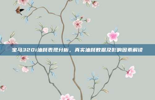 宝马320i油耗表现分析，真实油耗数据及影响因素解读