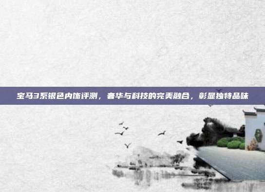 宝马3系银色内饰评测，奢华与科技的完美融合，彰显独特品味
