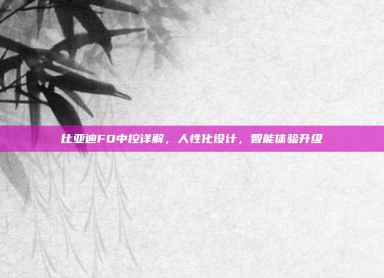 比亚迪FO中控详解，人性化设计，智能体验升级