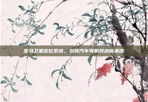 宝马卫星定位系统，引领汽车导航技术新潮流