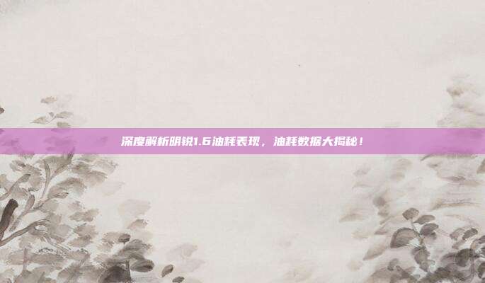 深度解析明锐1.6油耗表现，油耗数据大揭秘！