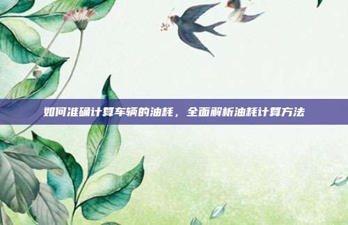 如何准确计算车辆的油耗，全面解析油耗计算方法