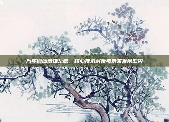 汽车液压悬挂系统，核心技术解析与未来发展趋势
