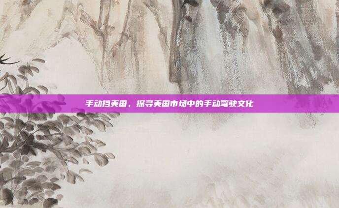 手动挡美国，探寻美国市场中的手动驾驶文化