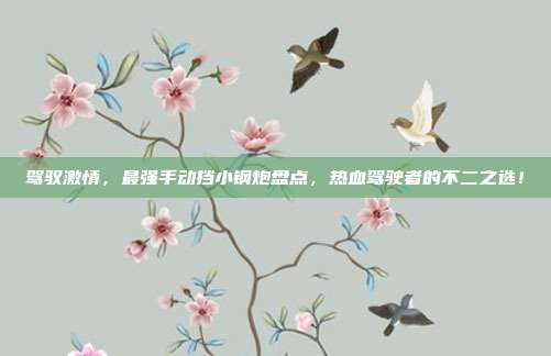 驾驭激情，最强手动挡小钢炮盘点，热血驾驶者的不二之选！