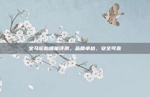 宝马轮胎质量评测，品质卓越，安全可靠