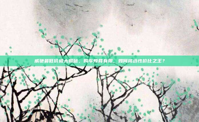 威驰最低价格大揭秘，购车预算有限，如何挑选性价比之王？