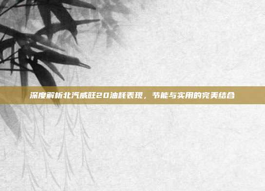 深度解析北汽威旺20油耗表现，节能与实用的完美结合