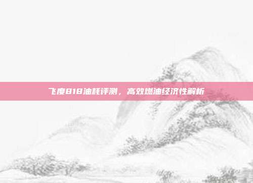 飞度818油耗评测，高效燃油经济性解析