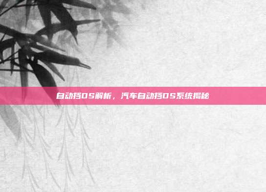 自动挡DS解析，汽车自动挡DS系统揭秘