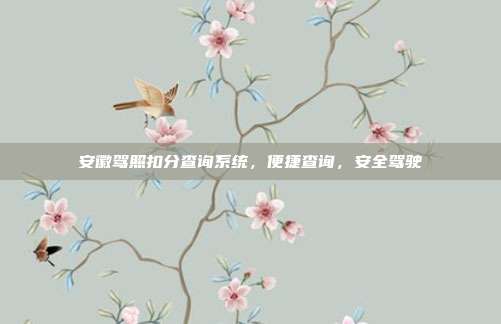 安徽驾照扣分查询系统，便捷查询，安全驾驶