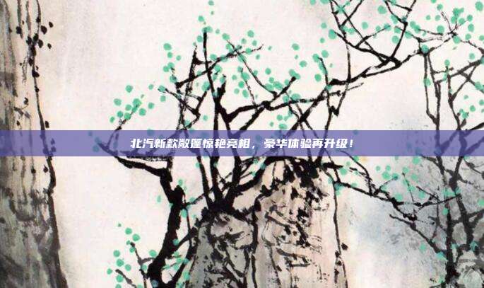 北汽新款敞篷惊艳亮相，豪华体验再升级！