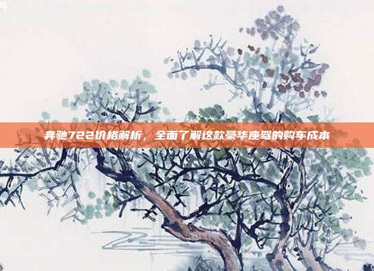 奔驰722价格解析，全面了解这款豪华座驾的购车成本