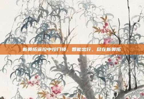 新奥拓遥控中控门锁，智能出行，尽在新奥拓