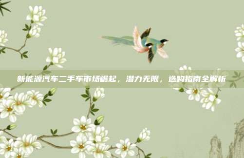 新能源汽车二手车市场崛起，潜力无限，选购指南全解析