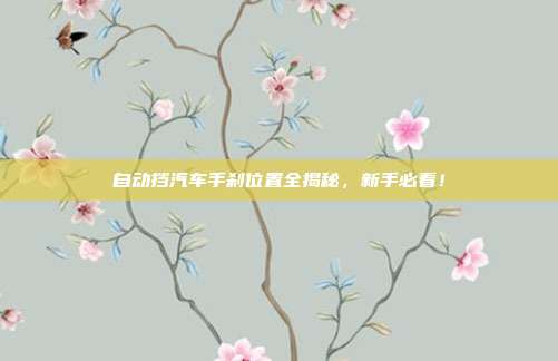 自动挡汽车手刹位置全揭秘，新手必看！