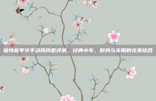福特嘉年华手动风尚型评测，经典小车，时尚与实用的完美结合