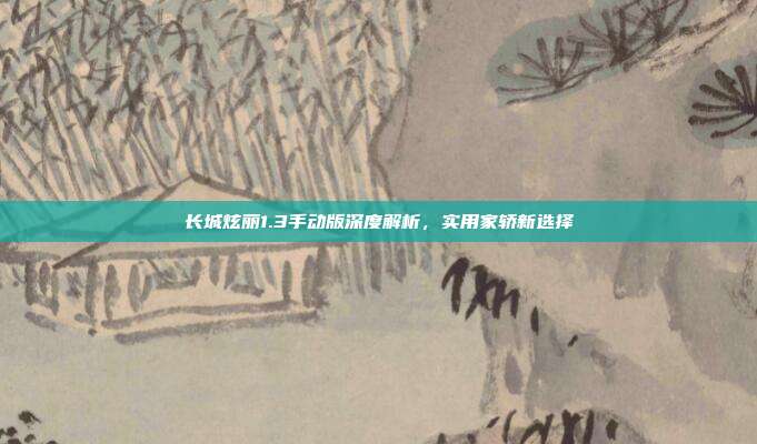 长城炫丽1.3手动版深度解析，实用家轿新选择