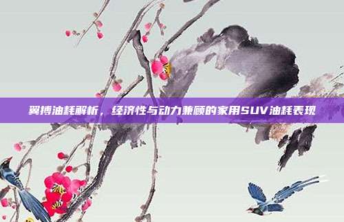 翼搏油耗解析，经济性与动力兼顾的家用SUV油耗表现